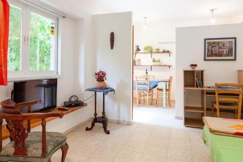 TV a/nebo společenská místnost v ubytování one room studio apartment and garden