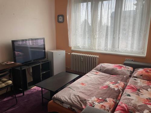 Postel nebo postele na pokoji v ubytování Garsoniera U lesoparku