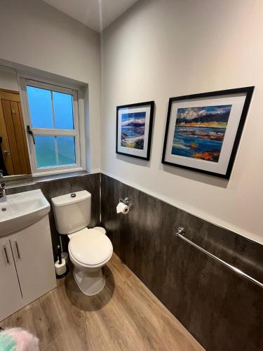 a bathroom with a toilet and a sink at River Cottage Hot tub spa in Drumnadrochit