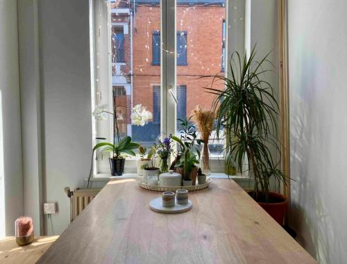 a table with potted plants in a room with a window at Maison avec jardin à Lille - La Pépinière in Lille