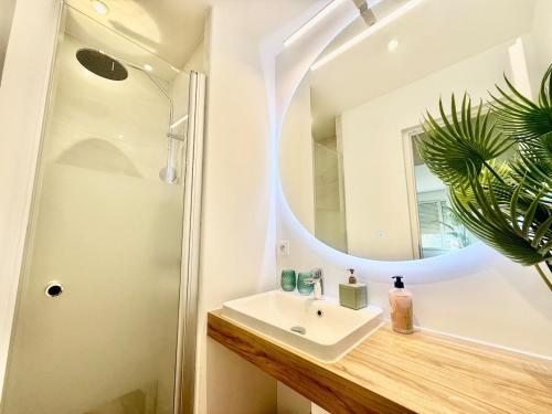 une salle de bain avec un lavabo et un miroir dans l'établissement Le Dandy de la Fontaine climatisation et garage, à Nîmes