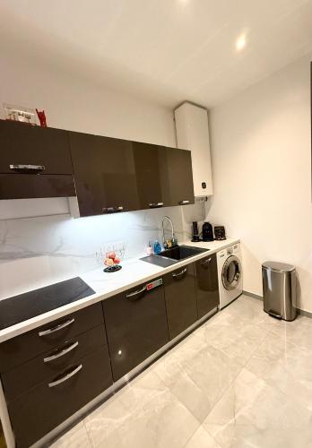 une cuisine avec un évier et une machine à laver dans l'établissement Luxury Monaco ! 7 mins walk to casino square ! 15 secondes to Monaco !!, à Beausoleil