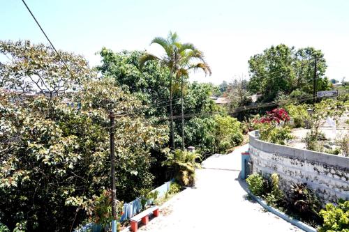 a winding road with trees and a wall at Lands End in Madikeri