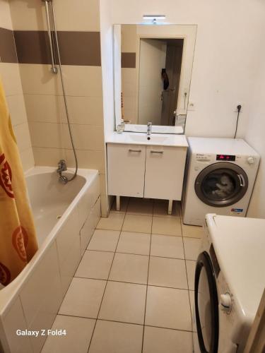 une salle de bain avec un lavabo et une machine à laver dans l'établissement Chic et simple avec parking à 5 min de la gare, à Nantes