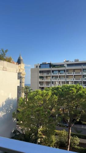 Luxurious Apartment with Sea and Carlton View