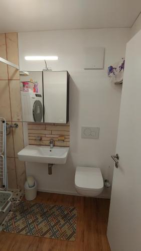 a bathroom with a sink and a toilet and a mirror at Il Baitone 1 in Minusio