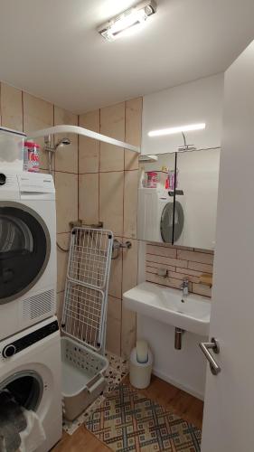 a laundry room with a washing machine and a sink at Il Baitone 1 in Minusio
