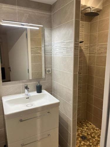 une salle de bain avec un lavabo et une douche dans l'établissement Studio, à Périgueux