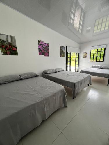 a bedroom with two beds and two windows at Chalet Casa Campestre Villa del Sol in La Tebaida