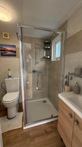 a bathroom with a shower and a toilet and a sink at Chalet am Rhederlaag in Lathum