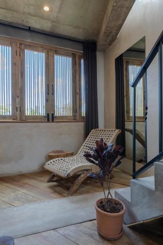 a room with a chair and a potted plant at El Mambo Boutique Hotel in Las Terrenas