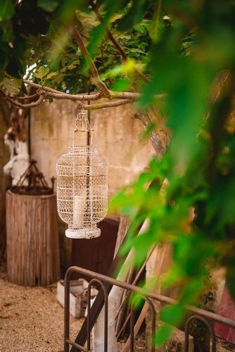 a white bird cage hanging from a tree at Villa Li Curti con piscina in comune, un'oasi in paese! in Ortelle