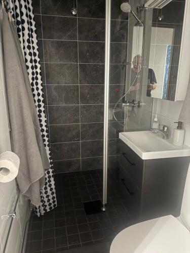 a bathroom with a shower and a toilet and a sink at Kemi CITY III near snowcastle, premium 2 rooms , kitchen , glazed balcony, FREE private parking in Kemi