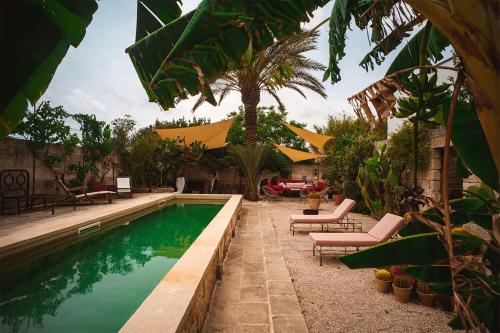 a swimming pool in a yard with chairs and trees at Villa Li Curti con piscina in comune, un'oasi in paese! in Ortelle