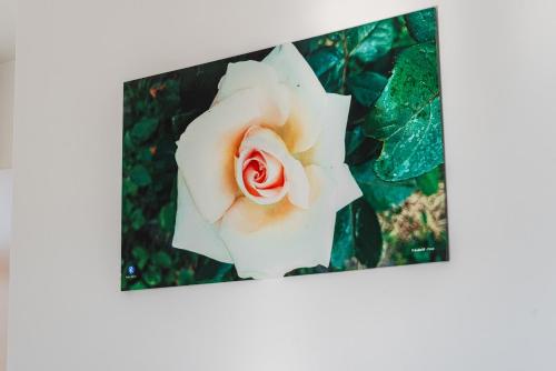 Galeriebild der Unterkunft Apart Hotel Perla Resort Lalez Durres in Durrës