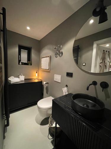 a bathroom with a sink and a toilet and a mirror at Alz-Apartment in Seeon-Seebruck