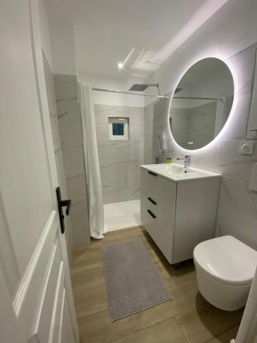 une salle de bain avec toilettes, lavabo et miroir dans l'établissement L Ecrin de Lidia close to MEETT Air conditioning Parking, à Aussonne