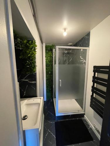 une salle de bain avec une douche avec un lavabo et des toilettes dans l'établissement Cinema et Billiard, à Charnay-lès-Mâcon