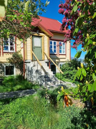 a yellow house with a green door and flowers at Nygjerdet Gossen in Gossa