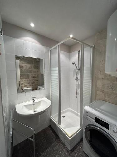 une salle de bain avec douche et lavabo et une machine à laver dans l'établissement Elégant studio Avignon centre, à Avignon