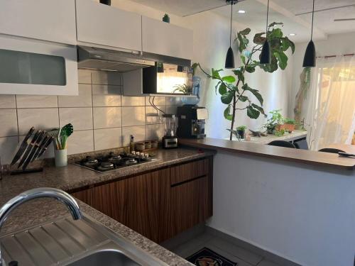 a kitchen with a sink and a counter top at Casa Monstera Bahia in Naranjo