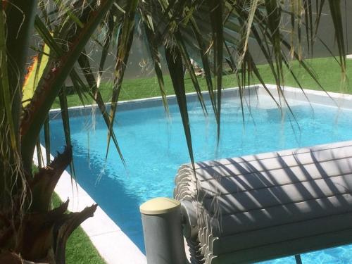 - une piscine avec un canapé à côté d'un palmier dans l'établissement Le brin de soleil reposant, à Saint-Maurice-lʼExil