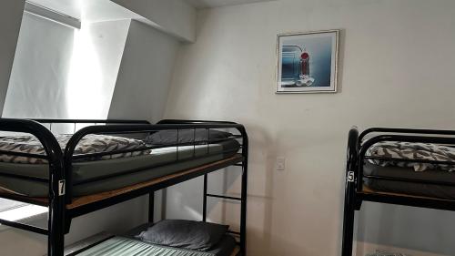 a room with two bunk beds and a picture on the wall at Queen Nest Hotel in Toronto