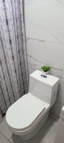 a white toilet in a bathroom with a shower curtain at Habitación Arándano in Ciudad Guzmán