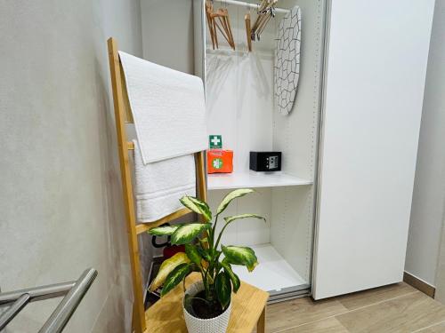 eine Pflanze in einem Raum neben einem Schrank in der Unterkunft La Vetere House in Catania