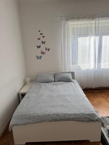 Studio Apartman Thalia