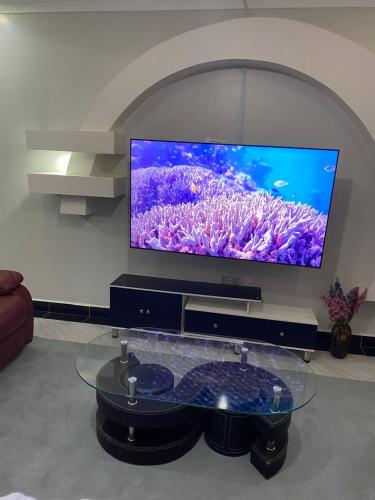 pacifichomestayにあるテレビまたはエンターテインメントセンター