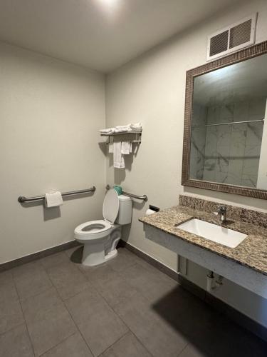 a bathroom with a toilet and a sink at Clarion Inn & Suites Dothan South in Dothan