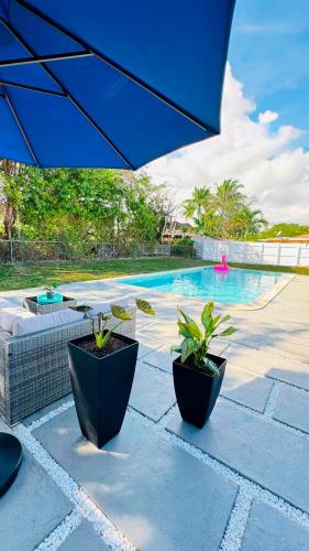 two potted plants sitting next to a swimming pool at Stylish Pool Home in Hollywood