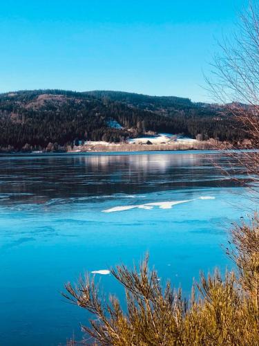 a view of a lake with snow on it at Surki's Loggia an der Sonne in Schluchsee