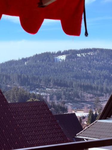 a view from the roof of a house with a mountain at Surki's Loggia an der Sonne in Schluchsee