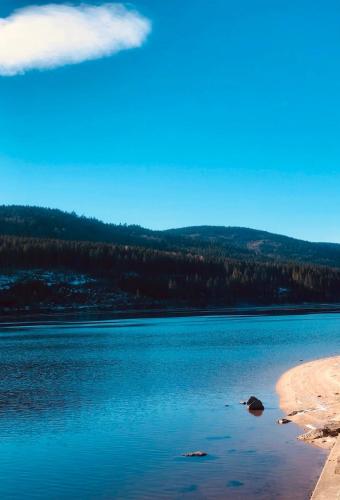 a large body of water with trees in the background at Surki's Loggia an der Sonne in Schluchsee
