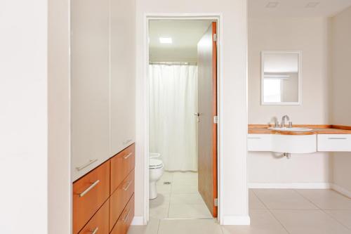 a bathroom with a toilet and a sink at Gray Fox Apartments - San Martin in Ushuaia