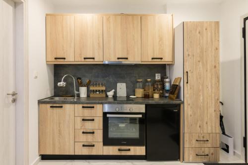 Kuchyň nebo kuchyňský kout v ubytování Modern Studio in Piraeus