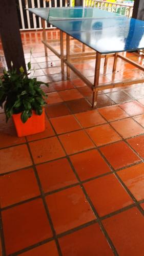 a table and a potted plant on a tiled floor at Finca Las Hamacas- La Posada del pensamiento in Santa Beatríz