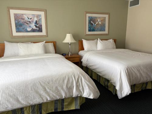 twee bedden in een hotelkamer met witte lakens bij Westlock Inn & Conference Centre in Westlock
