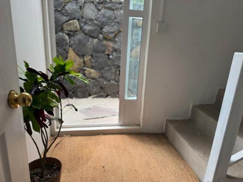 an open door with a potted plant in front of it at Villa Océan Gravier Rodrigues in Mt Bois Noir