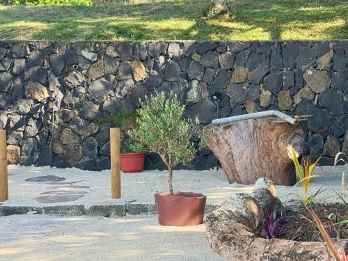 a garden with two trees and a stone wall at Villa Océan Gravier Rodrigues in Mt Bois Noir