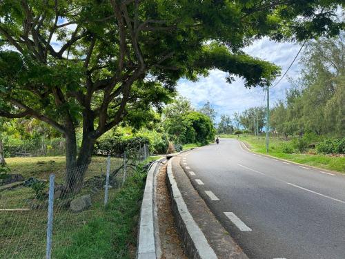 a tree on the side of a road at Villa Océan Gravier Rodrigues in Mt Bois Noir