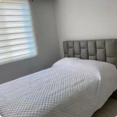 Katil atau katil-katil dalam bilik di Elit