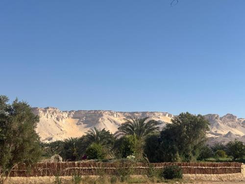 a view of the desert with mountains in the background at Beir El Gabal Hotel (with Hot Springs) in Al Qaşr