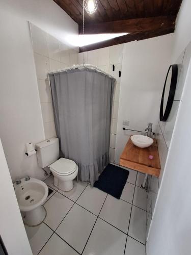 a bathroom with a toilet and a sink at Casa BAO in Río Gallegos