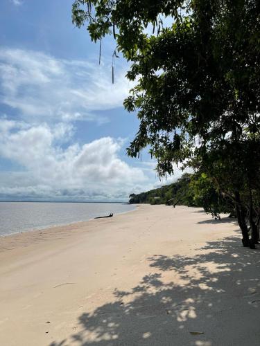 Landskap semula jadi dekat dengan perkhemahan mewah