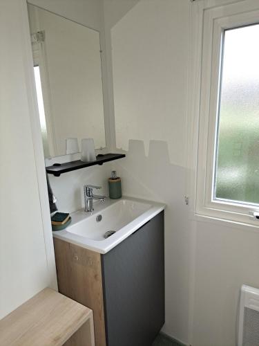 une salle de bain avec un lavabo et un miroir dans l'établissement Le Cozy'Land - Mobilhome Camping La Réserve, à Gastes