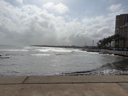 ZEN à TORREVIEJA photo 23