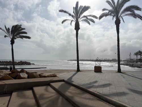 ZEN à TORREVIEJA photo 22